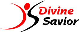 Divine Savior Pvt. Ltd.